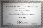 Craniosacral terápia oklevél